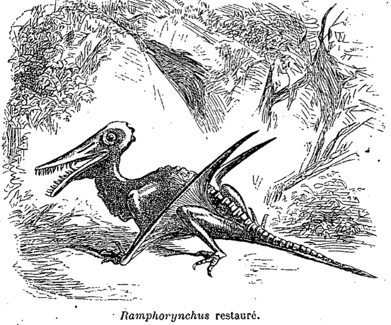 Illustration for article titled Strange 19th Century Drawings of Dinosaurs and Other Extinct Animals